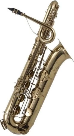 Benedikt Eppelsheim Benedikt Eppelsheim Bass Saxophone