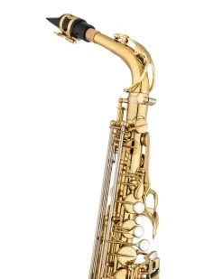 Eastman Musical Instruments Europe Eastman Rue Saint George - EAS850 - Alto Saxophone 8 Eastman Musical Instruments Europe Eastman Rue Saint George - EAS850 - Alto Saxophone -Saxophone Store eastman rue saint george eas850 alto saxophone 449637