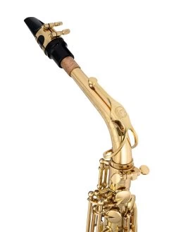 Jean-Paul Jean Paul USA AS-860 Anniversary Edition Alto Saxophone -Saxophone Store jean paul usa as 860 anniversary edition alto saxophone 194645