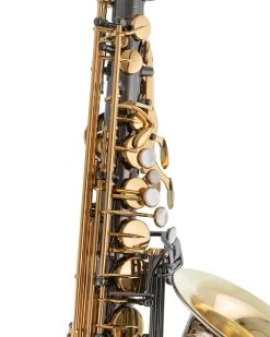P.Mauriat P Mauriat 20th Anniversary Limited Edition - Alto Saxophone 13 P.Mauriat P Mauriat 20th Anniversary Limited Edition - Alto Saxophone -Saxophone Store p mauriat 20th anniversary limited edition alto saxophone 110479