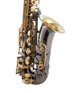 P.Mauriat P Mauriat 20th Anniversary Limited Edition - Alto Saxophone 12 P.Mauriat P Mauriat 20th Anniversary Limited Edition - Alto Saxophone -Saxophone Store p mauriat 20th anniversary limited edition alto saxophone 390190