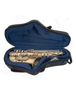 P.Mauriat P Mauriat PMXA-67RX DK Influence Alto Saxophone - Vintage Finish 19 P.Mauriat P Mauriat PMXA-67RX DK Influence Alto Saxophone - Vintage Finish -Saxophone Store p mauriat pmxa 67rx dk influence alto saxophone vintage finish 276479