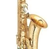 P.Mauriat P Mauriat PMXT-66R GL Tenor Saxophone - Gold Lacquer -Saxophone Store p mauriat pmxt 66r gl tenor saxophone gold lacquer 187713