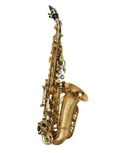 P.Mauriat P Mauriat System 76 GL Curved Soprano Saxophone - Gold Lacquer