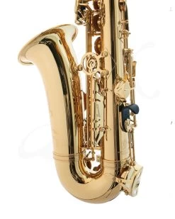 P.Mauriat P.Mauriat PMSA-185 Alto Saxophone - Gold Lacquer -Saxophone Store pmauriat pmsa 185 alto saxophone gold lacquer 236646