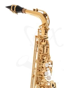 P.Mauriat P.Mauriat PMSA-185 Alto Saxophone - Gold Lacquer -Saxophone Store pmauriat pmsa 185 alto saxophone gold lacquer 340658
