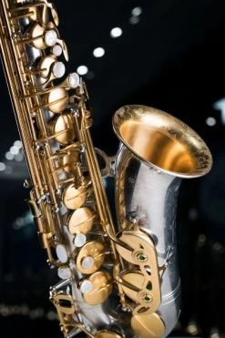 Rampone & Cazzani Rampone & Cazzani R1 Jazz Alto Saxophone - AUG - Top Engraving -Saxophone Store rampone cazzani r1 jazz alto saxophone aug top engraving 445153
