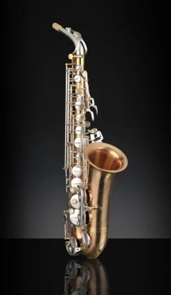 Rampone & Cazzani Rampone & Cazzani R1 Jazz Alto Saxophone - Bronze