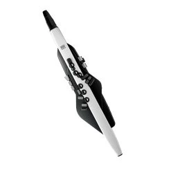 Roland Roland AE-20 Aerophone Digital Wind Instrument