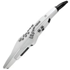 Roland Roland AE-20 Aerophone Digital Wind Instrument -Saxophone Store roland ae 20 aerophone digital wind instrument 485299