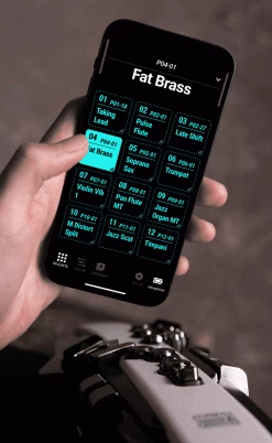 Roland Roland AE-20 Aerophone Digital Wind Instrument -Saxophone Store roland ae 20 aerophone digital wind instrument 554785