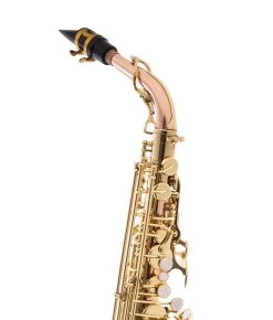 Tianjin Shengdi Music Instrument Co Ltd Sakkusu - Alto Saxophone - Deluxe - Red Brass - B-stock -Saxophone Store sakkusu alto saxophone deluxe red brass b stock 195184