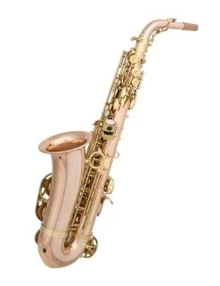 Tianjin Shengdi Music Instrument Co Ltd Sakkusu - Alto Saxophone - Deluxe - Red Brass - B-stock -Saxophone Store sakkusu alto saxophone deluxe red brass b stock 687782