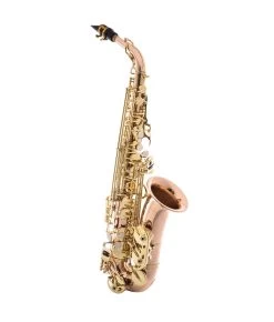Tianjin Shengdi Music Instrument Co Ltd Sakkusu - Alto Saxophone - Deluxe - Red Brass - B-stock