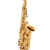 Tianjin Shengdi Music Instrument Co Ltd Sakkusu Alto Saxophone -Saxophone Store sakkusu alto saxophone gold lacquer 228596