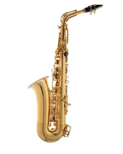 Tianjin Shengdi Music Instrument Co Ltd Sakkusu Alto Saxophone -Saxophone Store sakkusu alto saxophone gold lacquer 304149