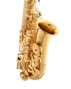 Tianjin Shengdi Music Instrument Co Ltd Sakkusu Alto Saxophone -Saxophone Store sakkusu alto saxophone gold lacquer 327750