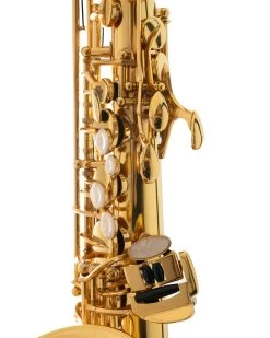 Tianjin Shengdi Music Instrument Co Ltd Sakkusu Alto Saxophone -Saxophone Store sakkusu alto saxophone gold lacquer 330126