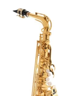 Tianjin Shengdi Music Instrument Co Ltd Sakkusu Alto Saxophone -Saxophone Store sakkusu alto saxophone gold lacquer 485501