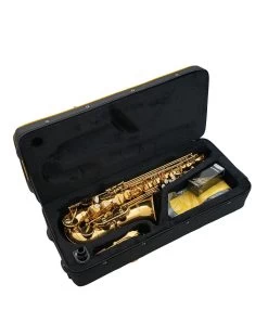Tianjin Shengdi Music Instrument Co Ltd Sakkusu Alto Saxophone -Saxophone Store sakkusu alto saxophone gold lacquer 495157