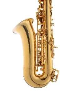 Tianjin Shengdi Music Instrument Co Ltd Sakkusu Alto Saxophone -Saxophone Store sakkusu alto saxophone gold lacquer 763143