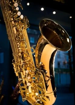 Tianjin Shengdi Music Instrument Co Ltd Sakkusu - Tenor Saxophone - Deluxe -Saxophone Store sakkusu tenor saxophone deluxe 392183