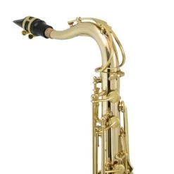 Tianjin Shengdi Music Instrument Co Ltd Sakkusu - Tenor Saxophone - Deluxe -Saxophone Store sakkusu tenor saxophone deluxe 844266