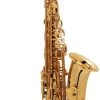 Selmer Paris Selmer Paris SA80 Series II Alto Saxophone - Jubilee - Gold Lacquer -Saxophone Store selmer paris sa80 series ii alto saxophone jubilee gold lacquer 641165
