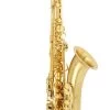 Selmer Paris Selmer Paris Series III Tenor Saxophone - Jubilee - Matt Gold 2 Selmer Paris Selmer Paris Series III Tenor Saxophone - Jubilee - Matt Gold -Saxophone Store selmer paris series iii tenor saxophone jubilee matt gold 661484