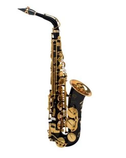 Selmer Paris Selmer Paris Signature Alto Saxophone - Black Lacquer
