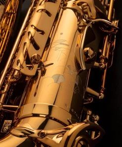 Selmer Paris Selmer Paris Signature Alto Saxophone - Gold Lacquer 10 Selmer Paris Selmer Paris Signature Alto Saxophone - Gold Lacquer -Saxophone Store selmer paris signature alto saxophone gold lacquer 875602