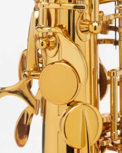 Selmer Paris Selmer Paris Signature Tenor Saxophone - Gold Lacquer -Saxophone Store selmer paris signature tenor saxophone gold lacquer 777819