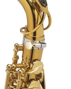 Selmer Paris Selmer Paris Supreme Alto Saxophone -Saxophone Store selmer paris supreme alto saxophone dark gold lacquer 928861