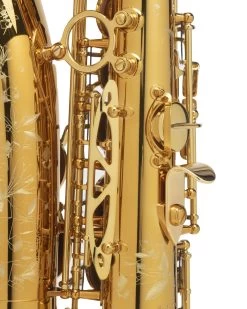 Selmer Paris Selmer Paris Supreme Alto Saxophone - Gold Plated 12 Selmer Paris Selmer Paris Supreme Alto Saxophone - Gold Plated -Saxophone Store selmer paris supreme alto saxophone gold plated 191450