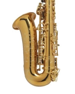 Selmer Paris Selmer Paris Supreme Alto Saxophone - Gold Plated 15 Selmer Paris Selmer Paris Supreme Alto Saxophone - Gold Plated -Saxophone Store selmer paris supreme alto saxophone gold plated 234018
