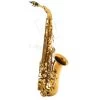 Conn-Selmer The BetterSax - Alto Saxophone -Saxophone Store the bettersax alto saxophone 435742