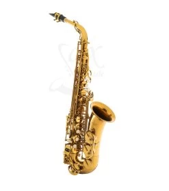 Conn-Selmer The BetterSax - Alto Saxophone