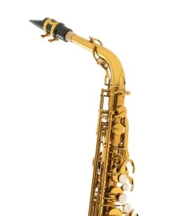 Conn-Selmer The BetterSax - Alto Saxophone -Saxophone Store the bettersax alto saxophone 885000