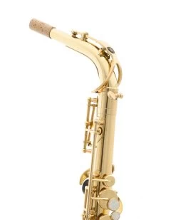 Barnes & Mullins Trevor James - Alphasax - Gold Lacquer -Saxophone Store trevor james alphasax gold lacquer 161447
