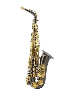 Barnes & Mullins Trevor James - SR - Alto Saxophone - Black/Gold Keys