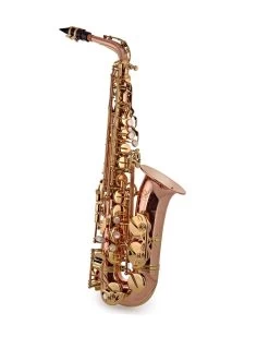 Barnes & Mullins Trevor James - SR - Alto Saxophone - Bronze