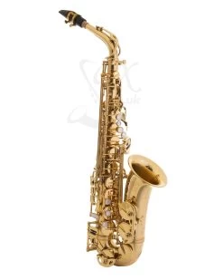 Barnes & Mullins Trevor James - SR - Alto Saxophone - Gold Lacquer
