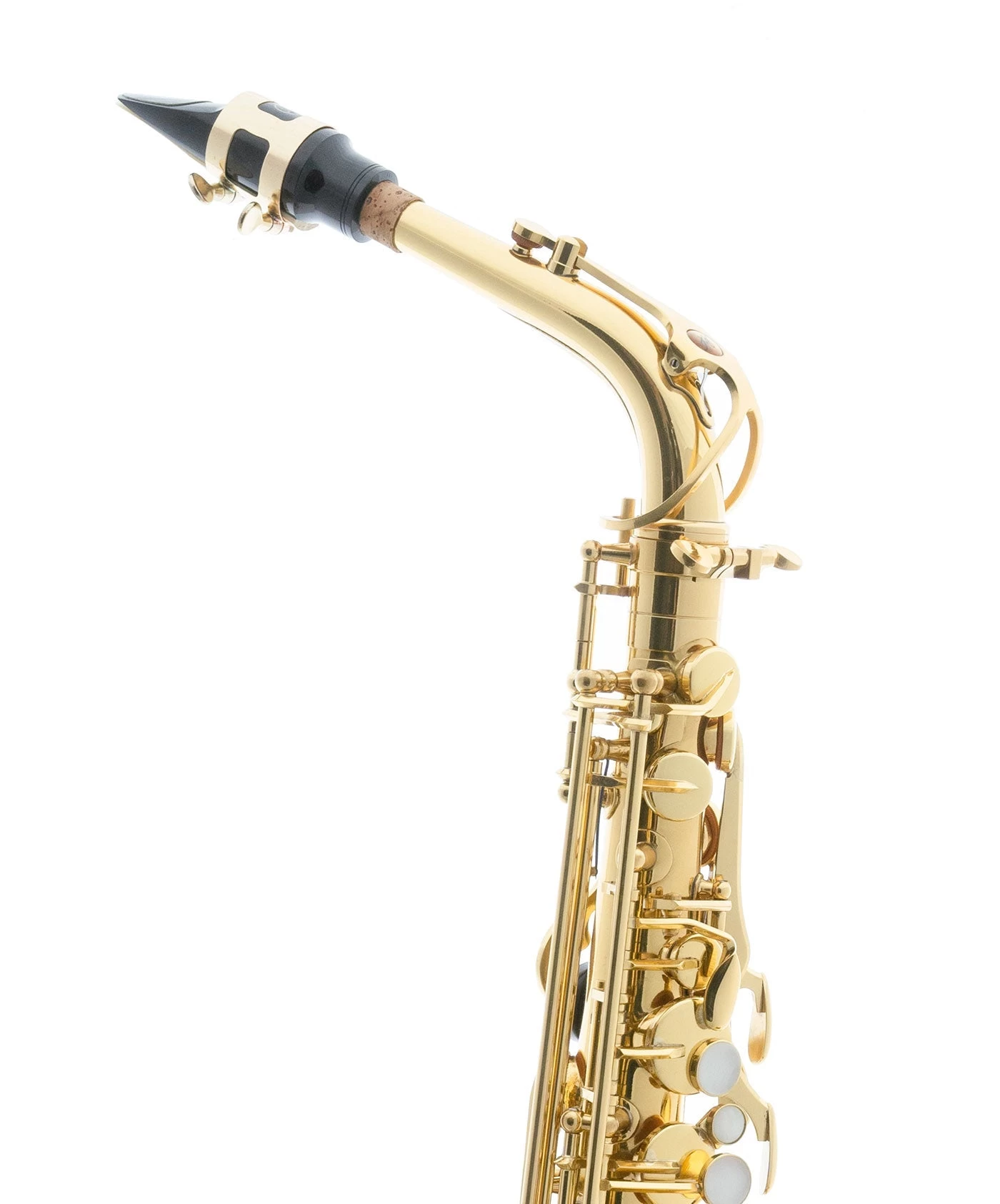Barnes & Mullins Trevor James - The Horn - Alto Saxophone - Gold Lacquer 5 Barnes & Mullins Trevor James - The Horn - Alto Saxophone - Gold Lacquer - Image 3
