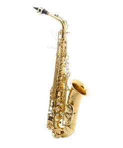 Barnes & Mullins Trevor James - The Horn - Alto Saxophone - Gold Lacquer