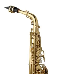 Barnes & Mullins Yanagisawa AWO10U Alto Saxophone - Unlacquered 10 Barnes & Mullins Yanagisawa AWO10U Alto Saxophone - Unlacquered -Saxophone Store yanagisawa awo10u alto saxophone unlacquered 861356