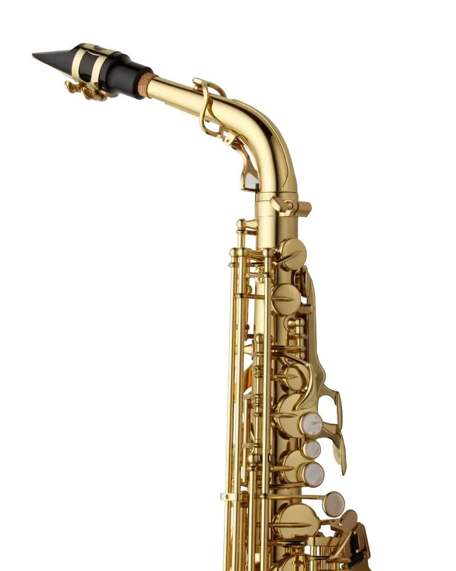 Barnes & Mullins Yanagisawa AWO10U Alto Saxophone - Unlacquered 5 Barnes & Mullins Yanagisawa AWO10U Alto Saxophone - Unlacquered - Image 3