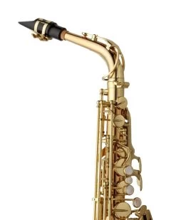 Barnes & Mullins Yanagisawa AWO2U Alto Saxophone - Unlacquered Bronze -Saxophone Store yanagisawa awo2u alto saxophone unlacquered bronze 993535