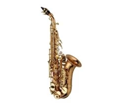 Barnes & Mullins Yanagisawa SCWO20 Curved Soprano Saxophone - Bronze