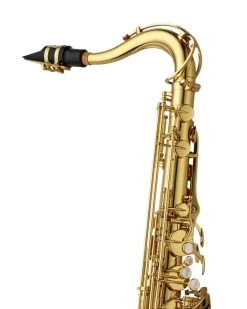 Barnes & Mullins Yanagisawa TWO1 Tenor Saxophone -Saxophone Store yanagisawa two1 tenor saxophone gold lacquer 298334