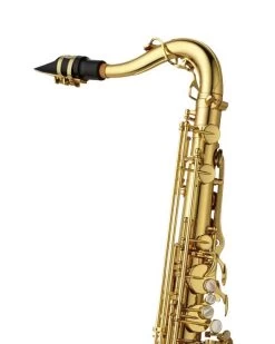 Barnes & Mullins Yanagisawa TWO10U - Tenor Saxophone - Unlacquered Brass -Saxophone Store yanagisawa two10u tenor saxophone unlacquered brass 934227